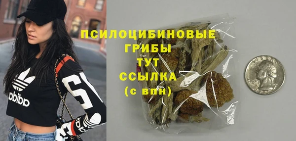 прущие грибы Карталы