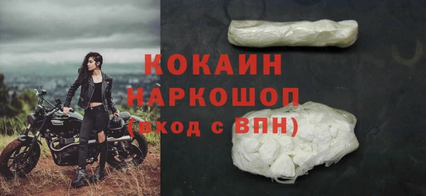 прущие грибы Карталы