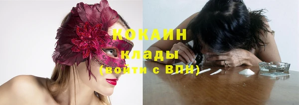 прущие грибы Карталы