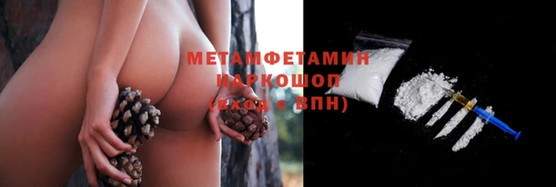 прущие грибы Карталы