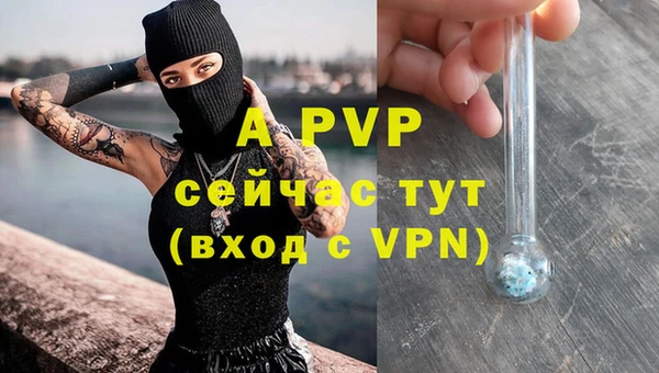 гашик Касимов