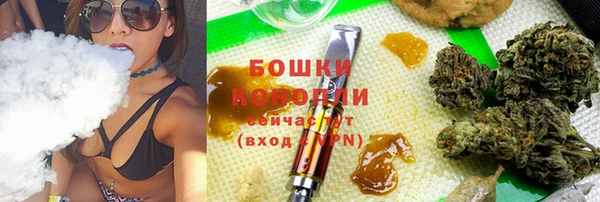 гашик Касимов