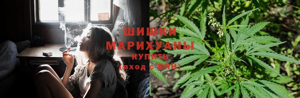 гашик Касимов