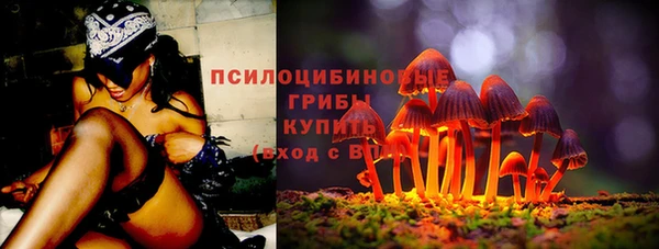 гашик Касимов