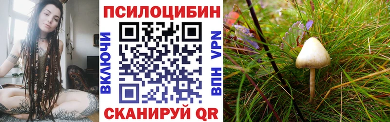Псилоцибиновые грибы прущие грибы  Купить закладки  Белоозёрский 