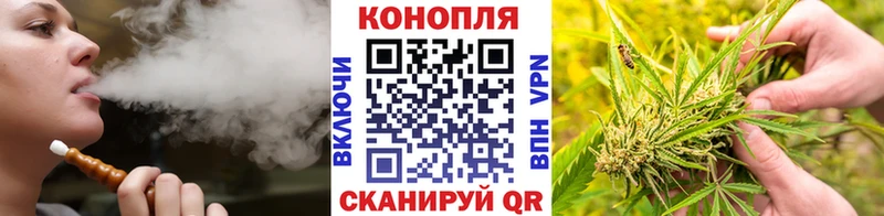 Купить  Белоозёрский  Каннабис планчик 